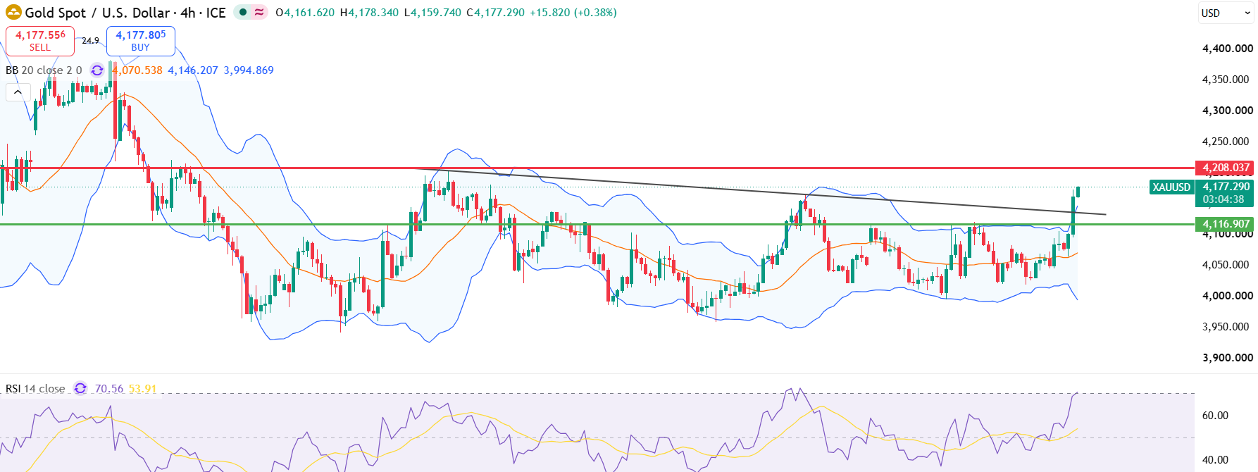 gold neww